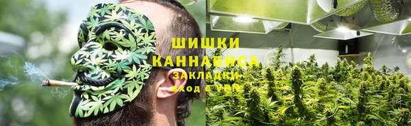 прущая мука Алзамай