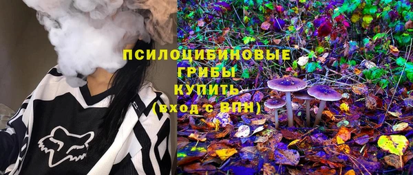 прущая мука Алзамай