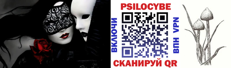 Псилоцибиновые грибы GOLDEN TEACHER Грязовец