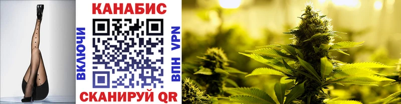 как найти закладки Грязовец МАРИХУАНА White Widow
